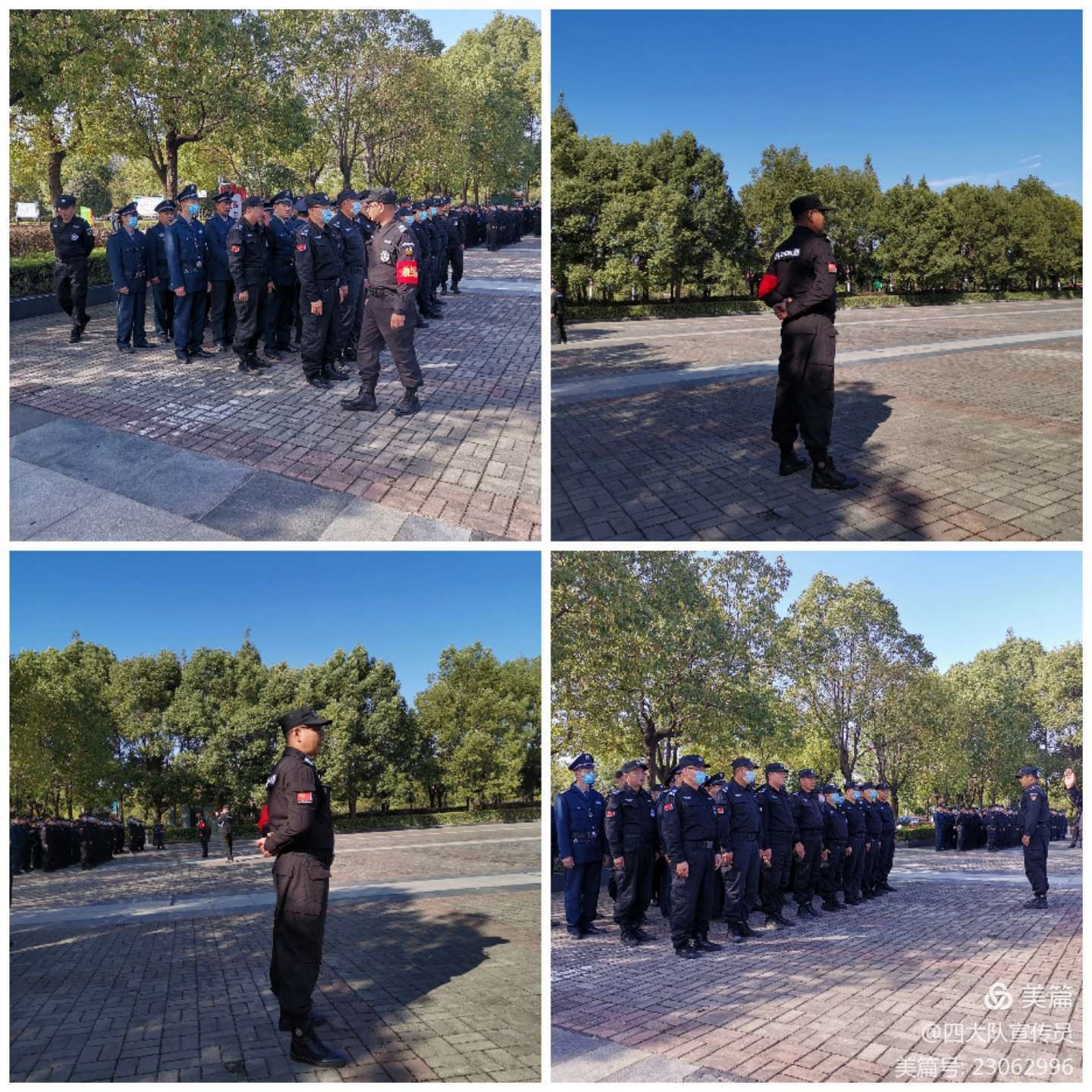 1634775785327929.jpg 1634775785327929.jpg