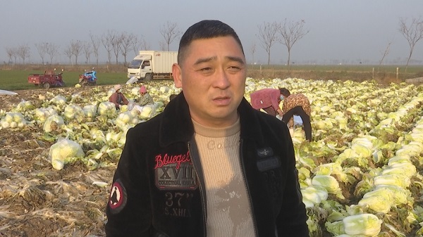 1677467843889678.jpg 微信圖片_白菜2.jpg