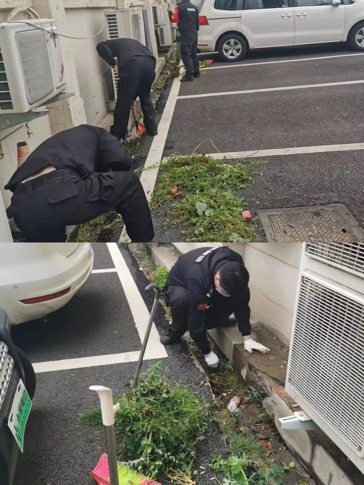 1681436999996656.jpg 1681436999996656.jpg