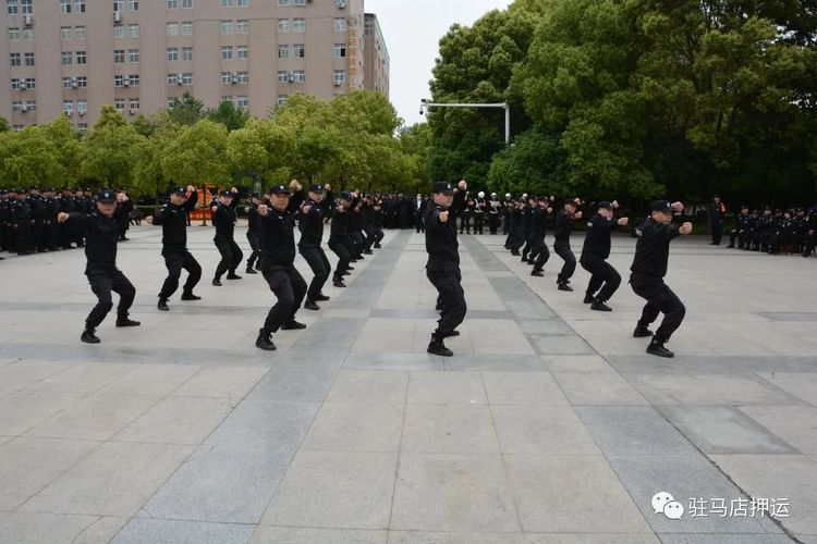 1682210713998781.jpg 1682210713998781.jpg