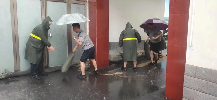 1688347103945037.jpg 1688347103945037.jpg