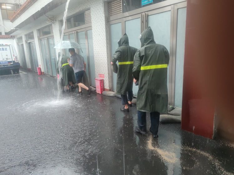 1688347119366333.jpg 1688347119366333.jpg