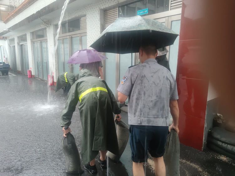 1688347138110807.jpg 1688347138110807.jpg