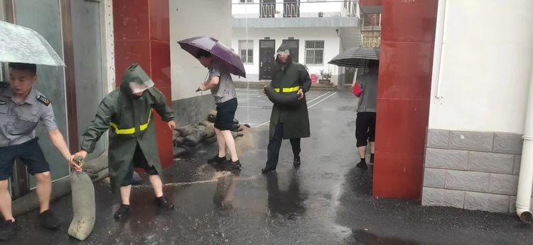 1688347160229717.jpg 1688347160229717.jpg