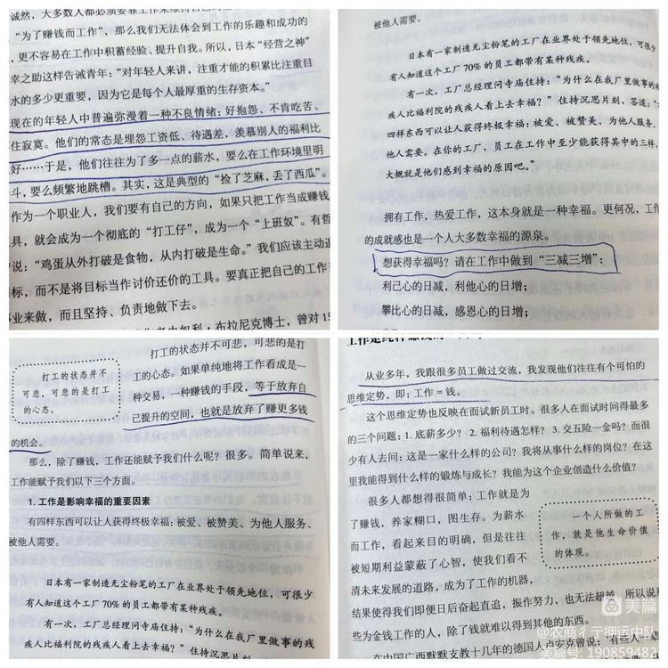 1689495701778772.jpg 1689495701778772.jpg