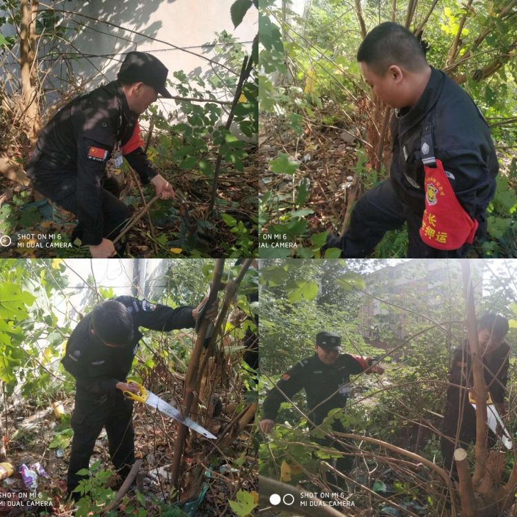 1704593882595249.jpg 1704593882595249.jpg