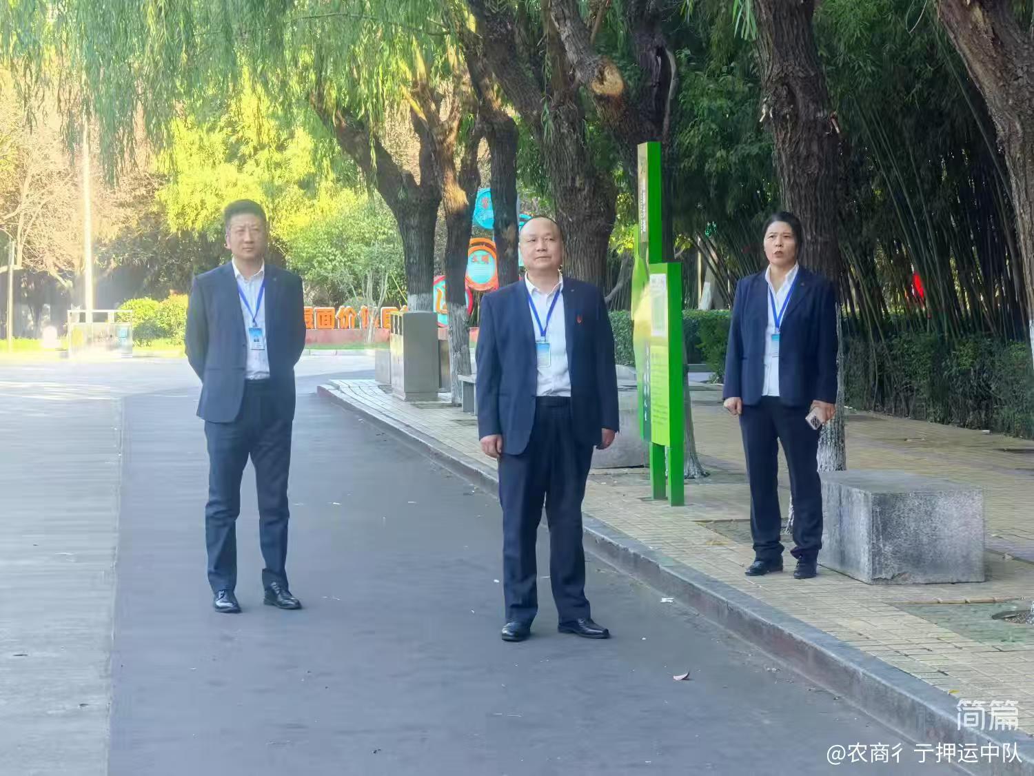 1729765952247220.jpg 1729765952247220.jpg