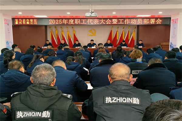 1740614503569782.jpg 10.jpg